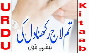 Read more about the article Tum Laaj Rakhna Dil Ki By Nishay Batool Romantic Novel