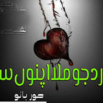 Dard Jo Mila Apno Se By Hoor Bano Complete Novel