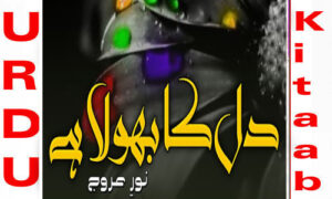 Read more about the article Dil Ka Bhola Hai By Noor E Urooj Complete Novel