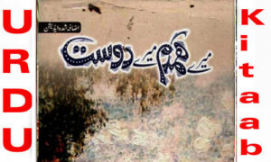 Read more about the article Mere Humdam Mere Dost By Farhat Ishtiaq Complete Novel