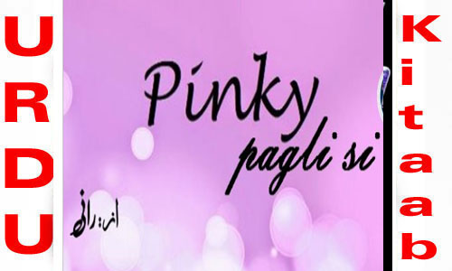 Pinky Pagli Si Afsana By Rani Complete Novel