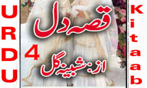Read more about the article Qissa E Dil By Shabina Gul Episode 4 Urdu Novel