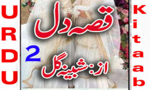 Read more about the article Qissa E Dil By Shabina Gul Urdu Novel Episode 2