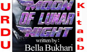 Read more about the article The Moon Of Lunar Night By Bella Bukhari Complete Novel