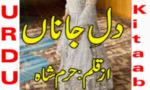 Read more about the article Dil E Jana By Haram Shah Complete Novel