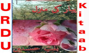 Read more about the article Pyaar Ki Manzil By Bint E Hussnain Complete Novel