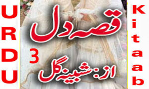 Read more about the article Qissa E Dil By Shabina Gul Urdu Novel Episode 3