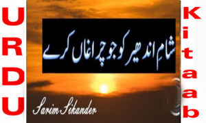 Read more about the article Sham E Andher Ko Jo Chiraghaan Kare By Sarim Sikander Complete Novel