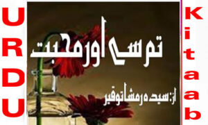 Read more about the article Tum Se Aur Mohabbat By Syeda Ramsha Touqeer Complete Novel