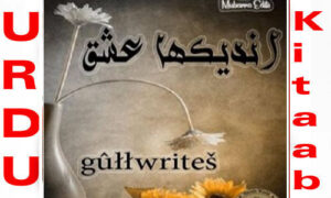 Read more about the article Un Dekha Ishq By Gull Writes Complete Novel