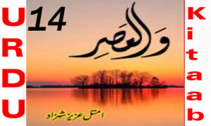Read more about the article Wal Asr By Amtul Aziz Shehzad Episode 14 Romantic Novel