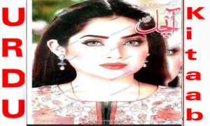 Read more about the article Aanchal Digest December 2022 Read and Download
