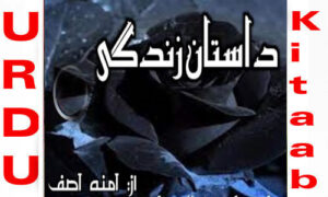 Read more about the article Dastan E Zindagi By Amna Asif Complete Novel