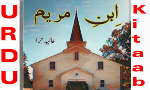 Read more about the article Ibn e Maryam by Aalia Hira Complete Novel