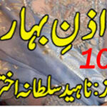 Izn E Bahar By Naheed Sultana Akhtar Episode 10 Urdu Novel