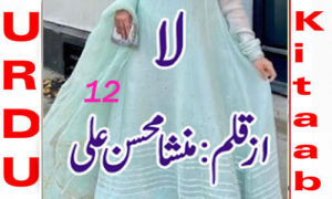 Read more about the article La By Mansha Mohsin Ali Episode 12 Urdu Novel