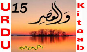 Read more about the article Wal Asr By Amtul Aziz Shehzad Episode 15 Romantic Novel
