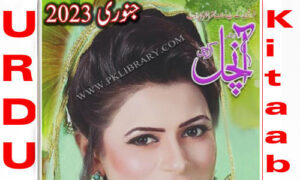 Read more about the article Aanchal Digest January 2023 Read and Download