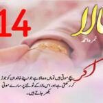 Mala by Nimra Ahmed Episode 14 Free Download