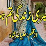 Meri Zindagi Tum Ho By Aliana Shah