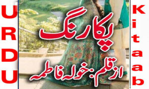 Read more about the article Pakka Rang By Khola Fatima Complete Novel