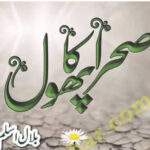 Sehra Ka Phool By Bilal Aslam Complete Novel