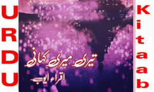 Read more about the article Teri Meri Kahani By Iqra Ayub Complete Novel