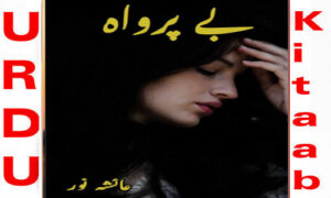 Read more about the article Be Parwah By Ayesha Noor Complete Novel