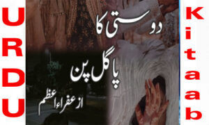 Read more about the article Dosti Ka Pagal Pan By Afra Asti Complete Novel
