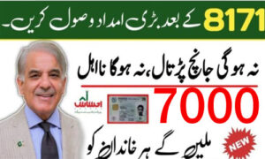 Read more about the article Ehsaas Program CNIC Check Online 2023