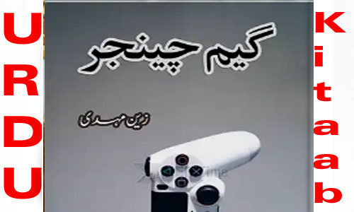 Game Changer Urdu Novel by Zain Mehdi Complete Novel