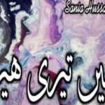 Main Teri Heer By Sania Hussain Complete Novel