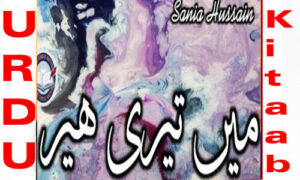 Read more about the article Main Teri Heer By Sania Hussain Complete Novel