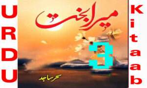Read more about the article Mera Bakht By Sehar Sajid Episode 3 Pdf Download