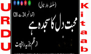 Read more about the article Mohabbat Dil Ka Sajda Hai by Nazia Rajpoot Episode 24 to 28