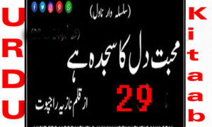 Read more about the article Mohabbat Dil Ka Sajda Hai by Nazia Rajpoot Episode 29