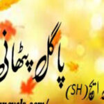 Pagal Pathani By SH Complete Novel