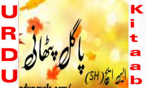 Read more about the article Pagal Pathani By SH Complete Novel