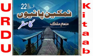 Read more about the article Namkeen Panion Ka Safar By Munam Malik Episode 22 Novel