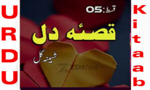 Read more about the article Qissa E Dil By Shabina Gul Episode 5 Urdu Novel