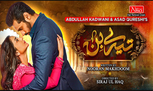Tere Bin Urdu Drama New Episode Download