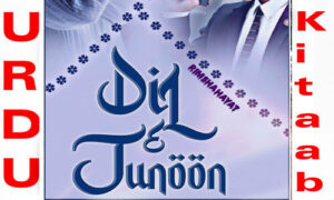 Read more about the article dil e Junoon By Rimsha Hayat Complete Novel