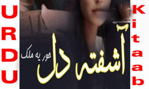 Read more about the article Ashifta dil by Huria Malik Complete Novel