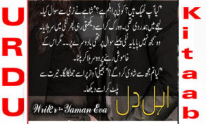 Read more about the article Ehl e dil by Yaman Eva Complete Novel
