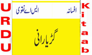 Read more about the article Guriya Rani By S A Naqvi Complete Novel