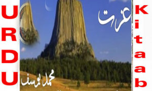 Read more about the article Izzat Afsana By Muhammad Yousaf Complete Novel