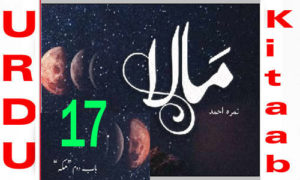 Mala by Nimra Ahmed Episode 17 Free Download