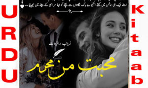 Read more about the article Mohabbat Man Mehram by Zainab Rajpoot Complete Novel