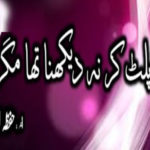 Palat Kar Na Dekhna Tha Magar By Hafiz Ehsan Complete Novel