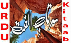 Read more about the article Sarab E Ulfat By Sarah Awan Complete Novel